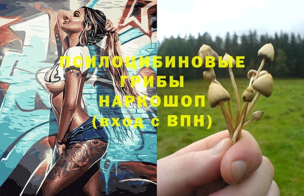 дурь Верхний Тагил